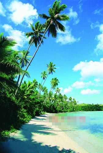 斐济美丽海滩