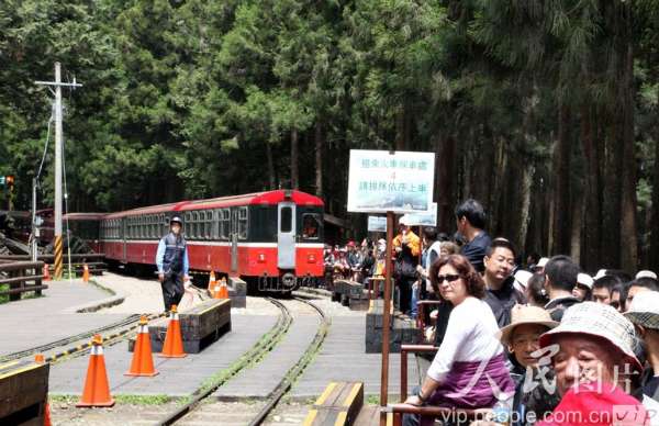 4月25日， 170多位福州游客在阿里山神木车站正准备乘坐小火车。（郑重声明：凡带有“人民图片”字样图片，未经许可，不得转载。购图电话010-65368421）