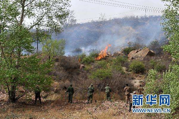 山西壶关森林火灾明火已扑灭 1600人清理和看守火场