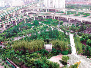 上海草坪足够了,多栽点树吧