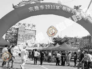 凤岗莞人口_人口普查(2)