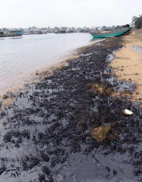 受石油污染死亡的海产品残骸(资料图)