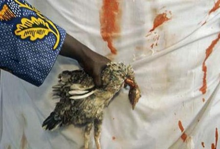 血腥近年来,乌干达绑架杀人并割取器官案件发生率有所上升,被割取的