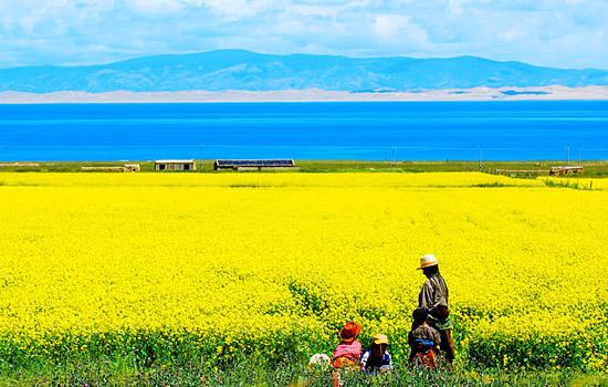 大西北旅游文案唯美简短_大西北旅游文案唯美简短图片